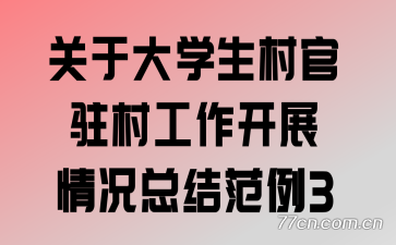 ���ڴ�ѧ�����פ�幤����չ����ܽ᷶��3