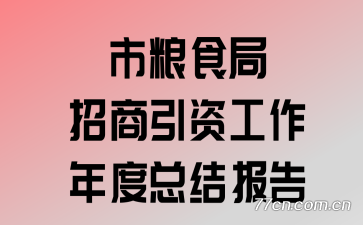 ����ʳ���������ʹ�������ܽᱨ��